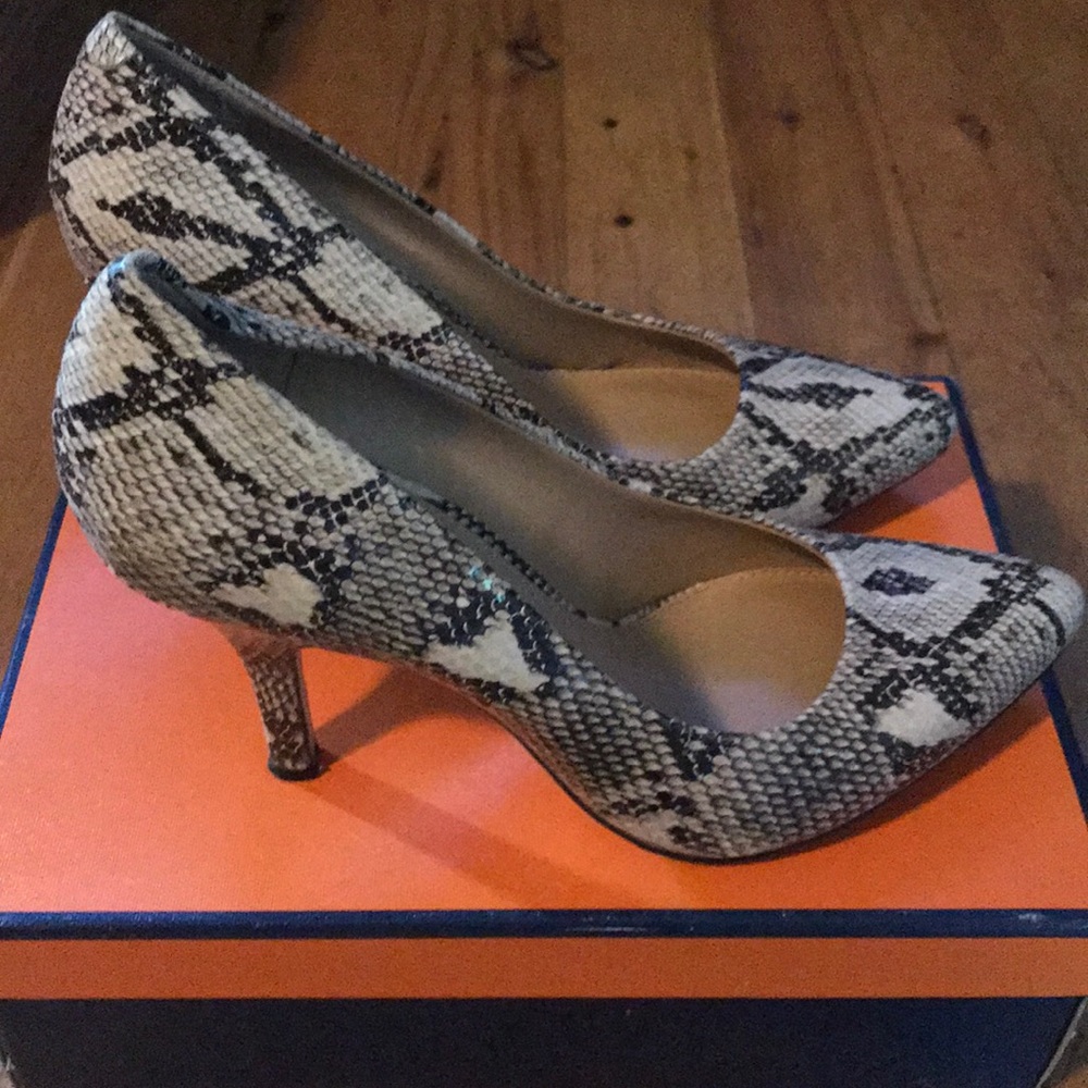 Arturo Chiang python heels EUC